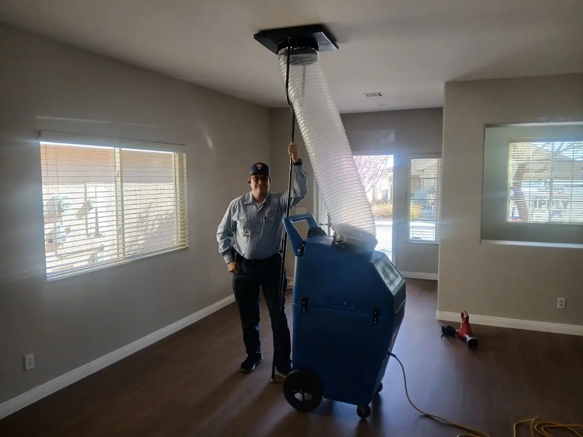 Professional Dryer Vent Cleaning work inside a Savannah home